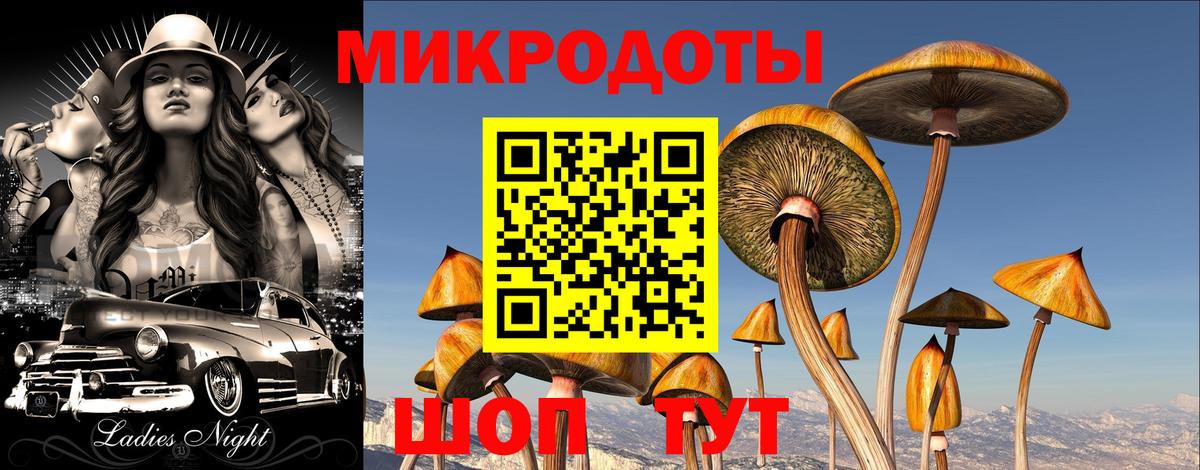 Псилоцибиновые грибы прущие грибы  Вход с VPN  Великие Луки 