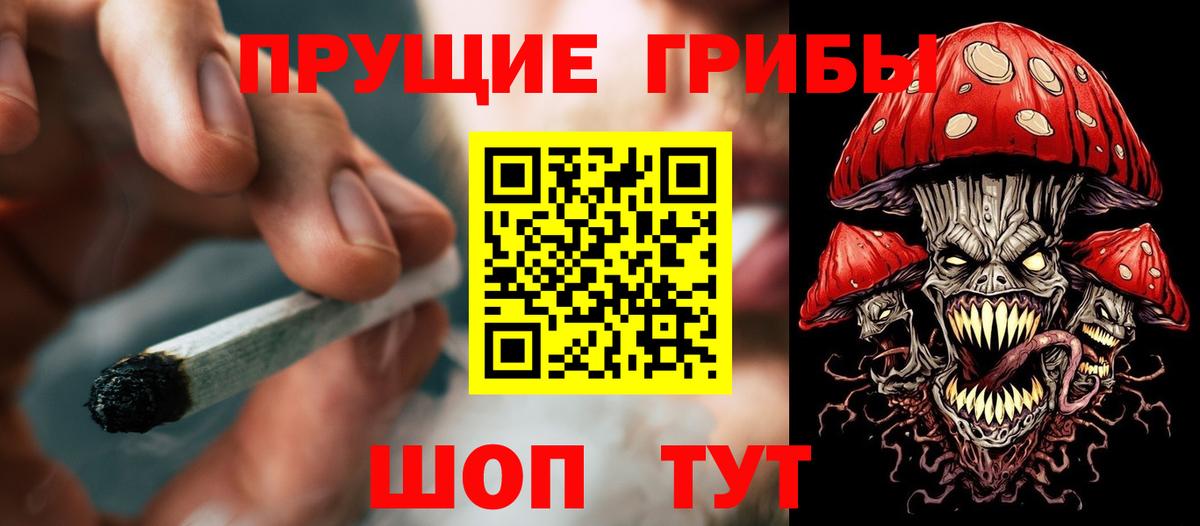 Псилоцибиновые грибы мицелий Великие Луки